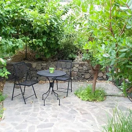 Apartment Basilus